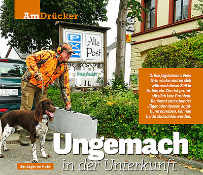 Ungemach in der Unterkunft