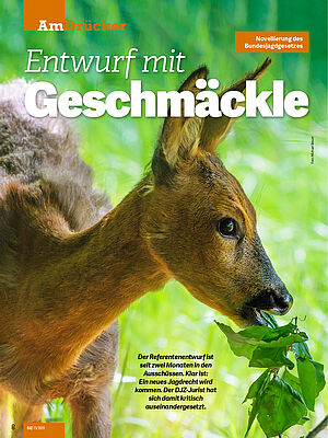 Entwurf mit geschmackle